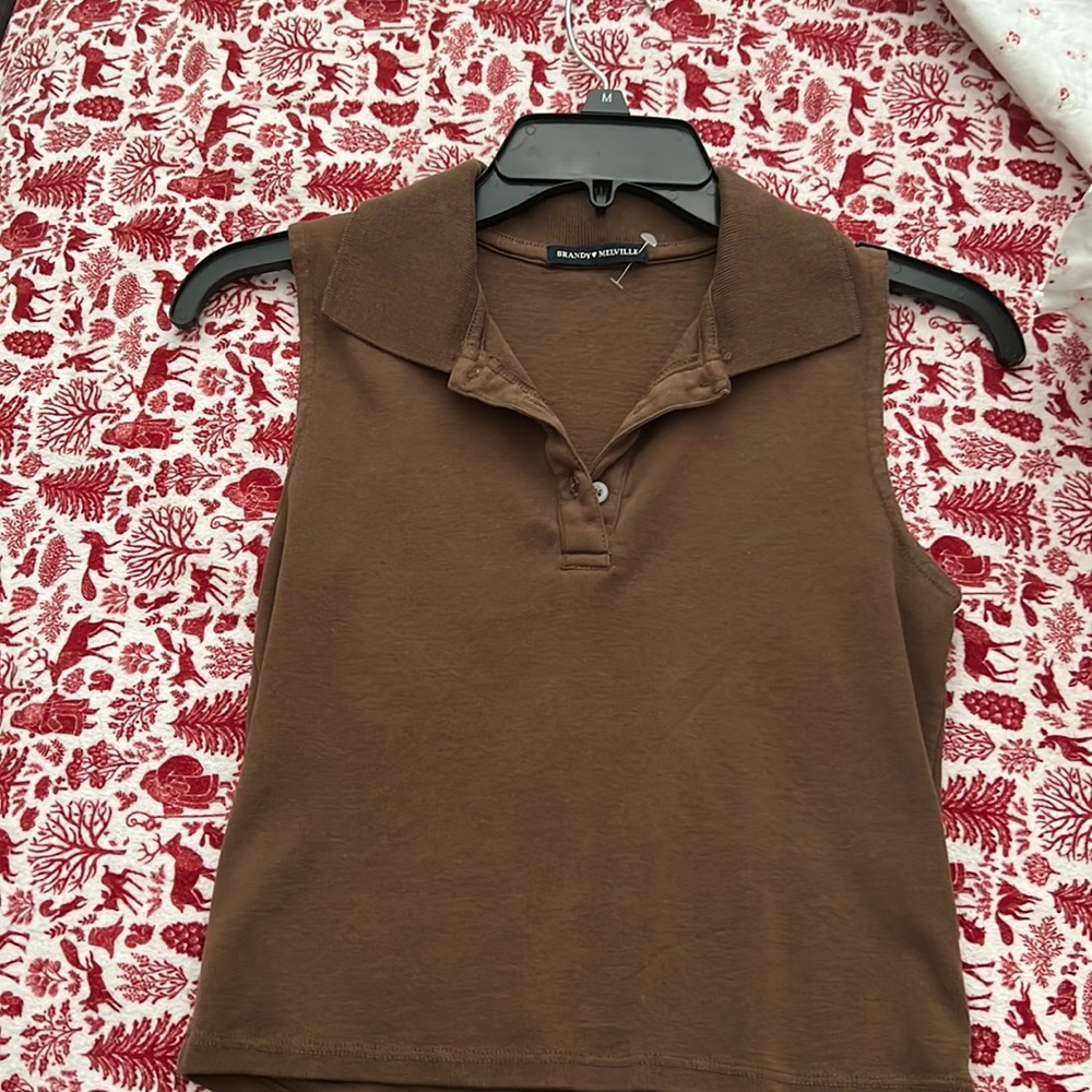 Brandy Melville brown top